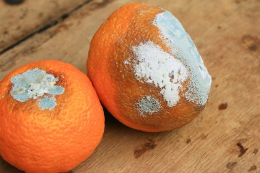 ahşap vintage çürük turuncu meyve