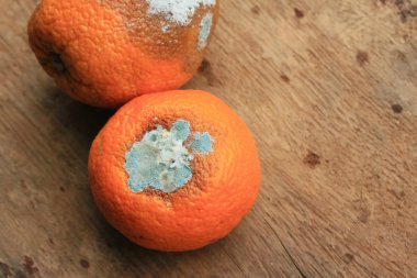 ahşap vintage çürük turuncu meyve