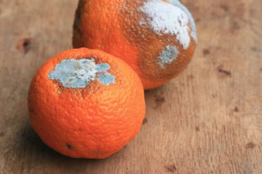 ahşap vintage çürük turuncu meyve