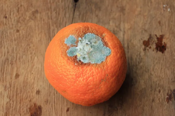 Rotten orange fruit on wood vintage — Stock Photo, Image