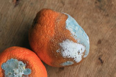 ahşap vintage çürük turuncu meyve