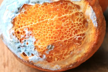 ahşap vintage çürük turuncu meyve