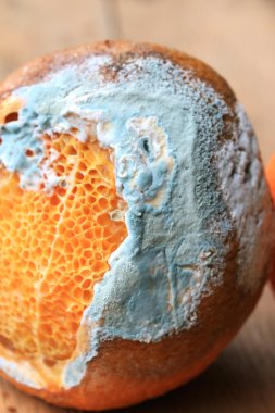 ahşap vintage çürük turuncu meyve