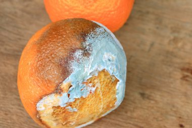 ahşap vintage çürük turuncu meyve