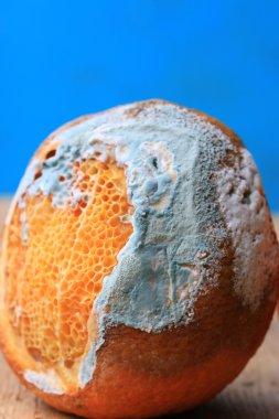 ahşap vintage çürük turuncu meyve