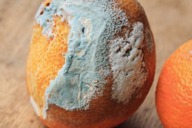 ahşap vintage çürük turuncu meyve