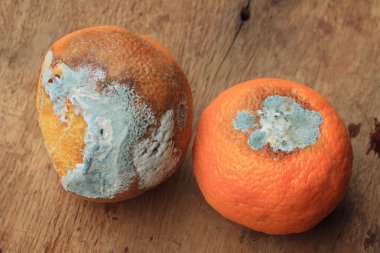 ahşap vintage çürük turuncu meyve