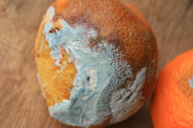 ahşap vintage çürük turuncu meyve