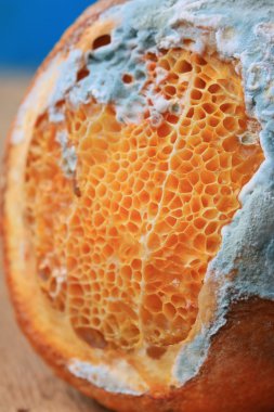 ahşap vintage çürük turuncu meyve