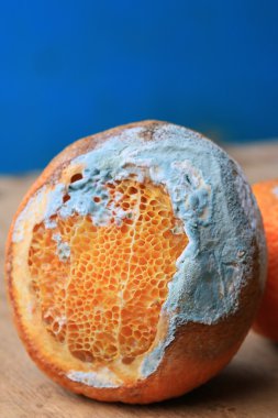 ahşap vintage çürük turuncu meyve