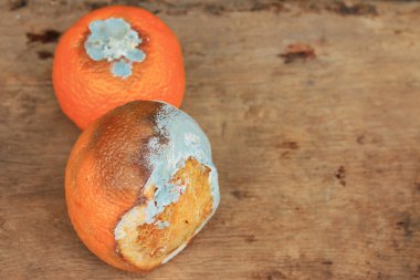 ahşap vintage çürük turuncu meyve