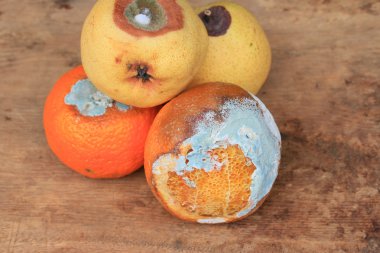 çürük armut ve ahşap vintage turuncu meyve