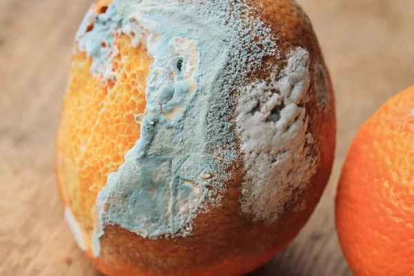 ahşap vintage çürük turuncu meyve