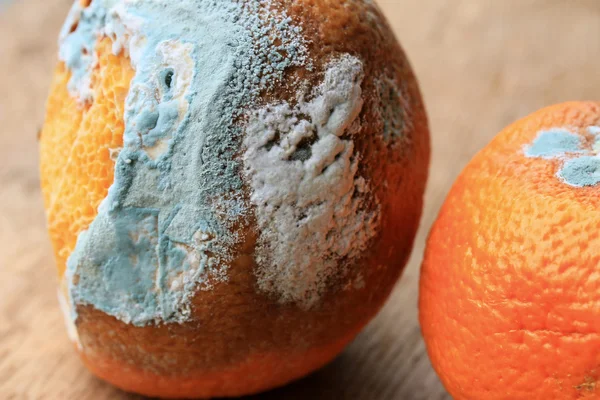 ahşap vintage çürük turuncu meyve