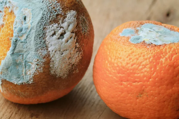 ahşap vintage çürük turuncu meyve