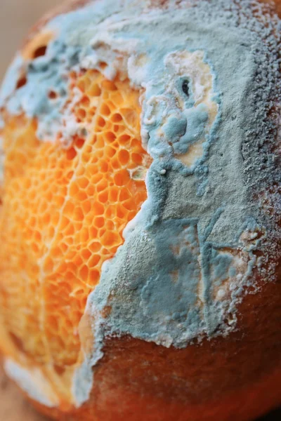 Fruta naranja podrida en madera vintage — Foto de Stock