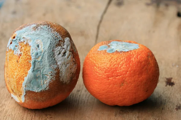 ahşap vintage çürük turuncu meyve