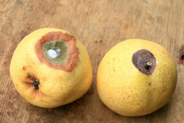 ahşap vintage çürük armut meyve