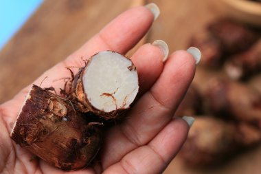 Taro üzerinde ahşap vintage