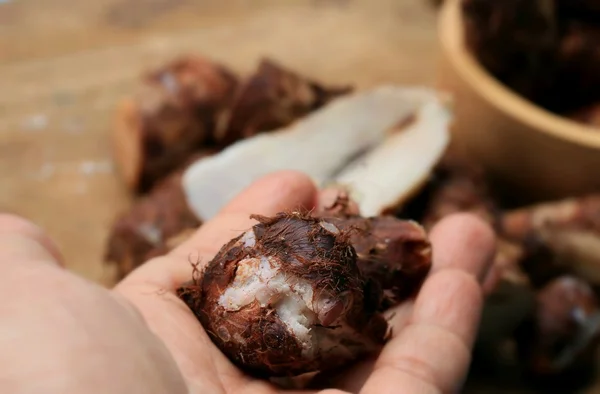 Taro em madeira vintage — Fotografia de Stock