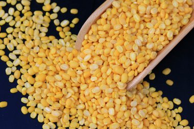 soya fasulyesi tohumu