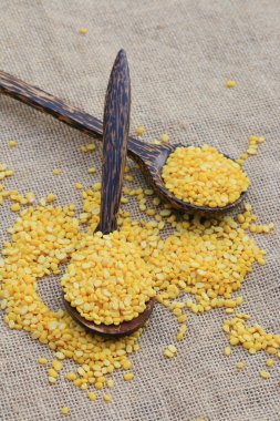 soya fasulyesi tohumu