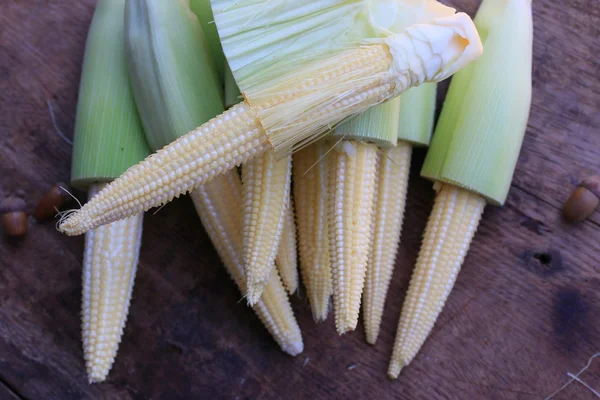 Baby fresh corn — Stock Photo, Image