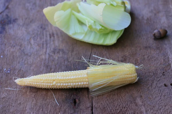 Baby frischer Mais — Stockfoto