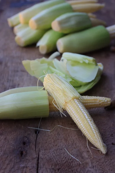 Baby fresh corn — Stock Photo, Image