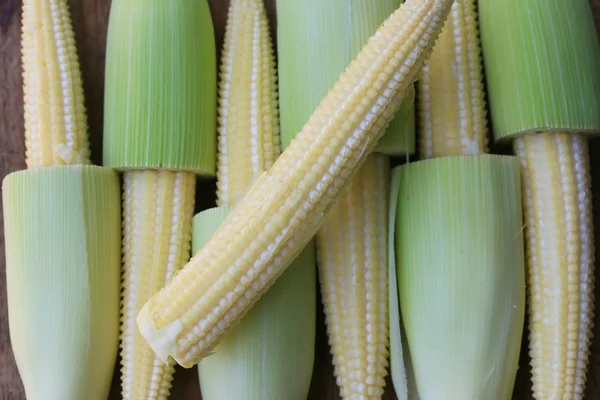 Baby frischer Mais — Stockfoto