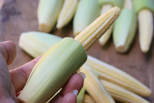 Baby fresh corn — Stock Photo, Image