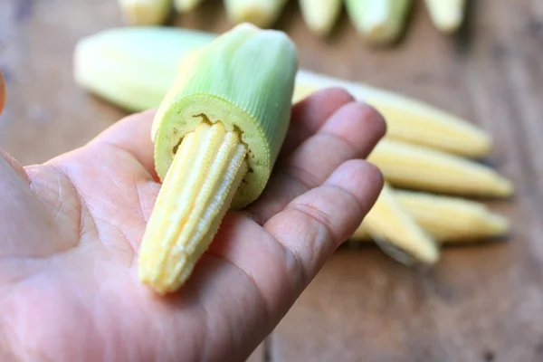 Baby fresh corn — Stock Photo, Image