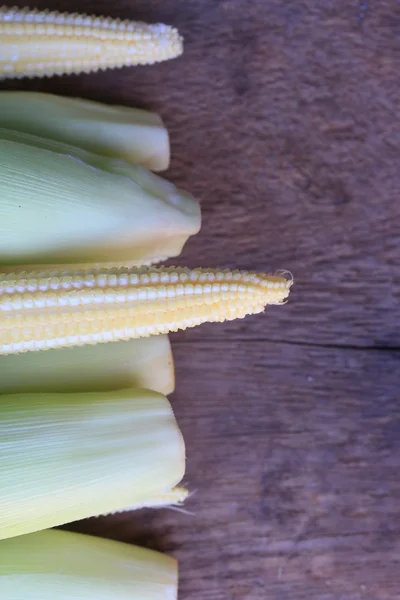 Baby fresh corn — Stock Photo, Image