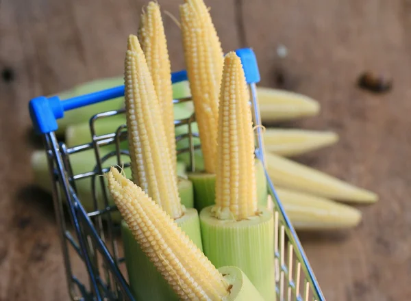 Baby fresh corn — Stock Photo, Image