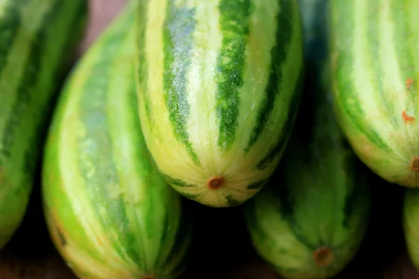 Gemüse frische Gurken — Stockfoto