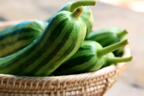 Groenten verse komkommer — Stockfoto