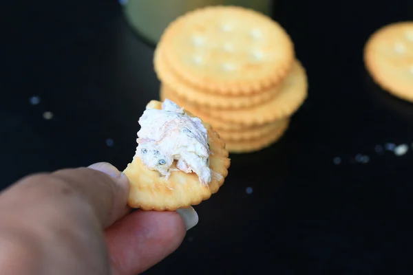 美味金枪鱼饼干 — 图库照片