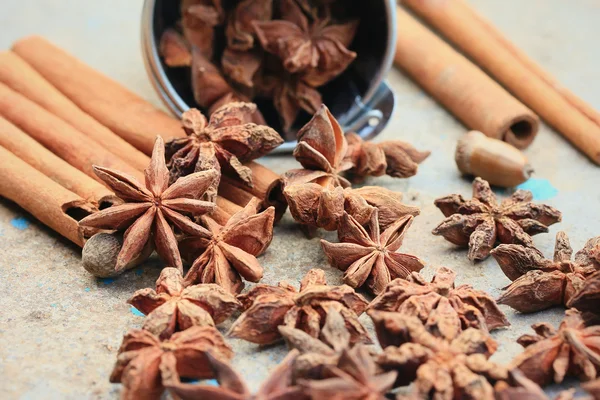 Star anise and cinnamon — Stock Photo, Image