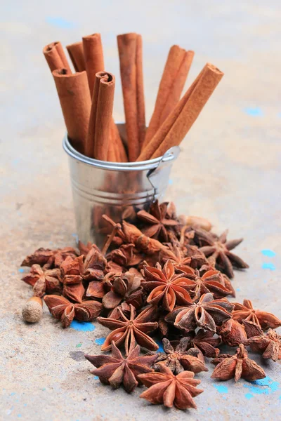 Star anise and cinnamon — Stock Photo, Image