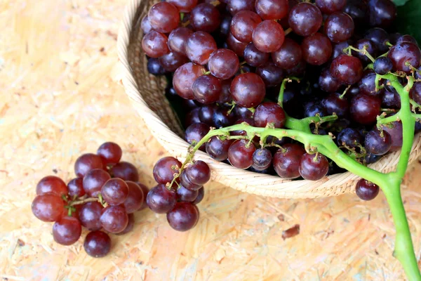 Fruit verse druiven — Stockfoto