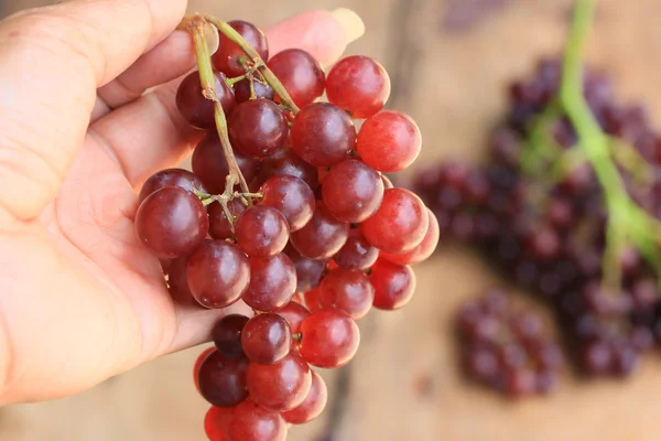 Uvas frescas de frutas — Foto de Stock