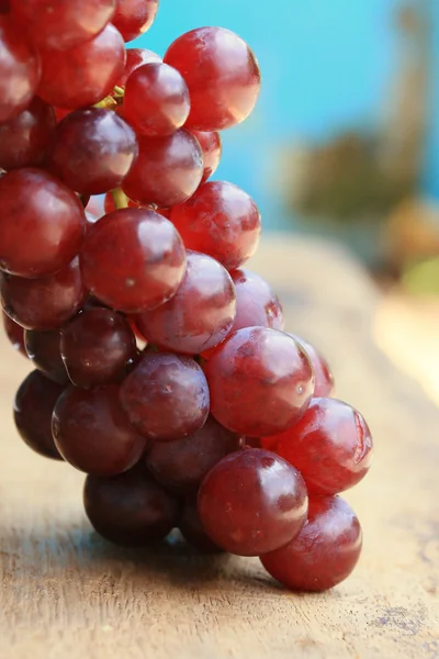 Owoców świeżych winogron — Zdjęcie stockowe