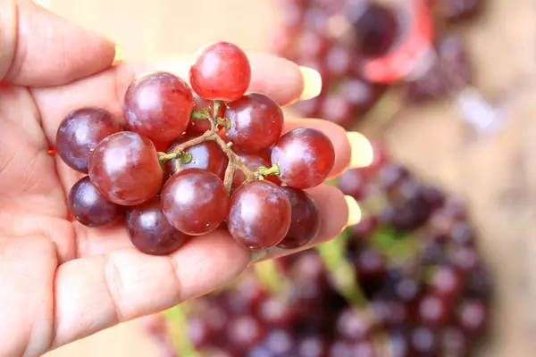 Fruits raisins frais et vin rouge — Photo