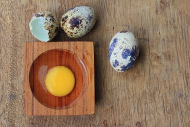 bıldırcın yumurtası