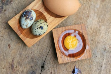 Bıldırcın yumurtası ve kahverengi yumurta