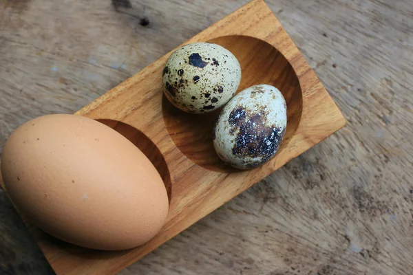 ウズラの卵と茶色の卵 — ストック写真