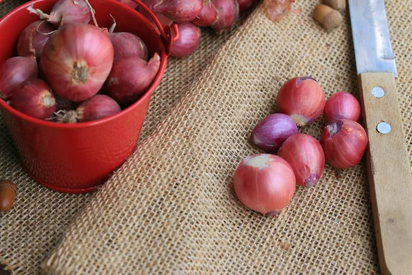 Shallots — Stock fotografie