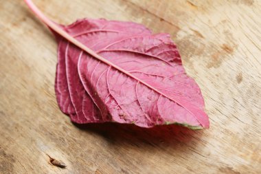 ahşap bir vintage üzerinde kırmızı ıspanak