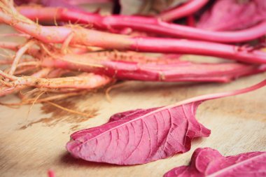 ahşap bir vintage üzerinde kırmızı ıspanak