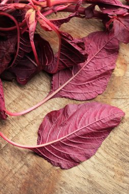 ahşap bir vintage üzerinde kırmızı ıspanak